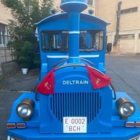 Tren turístico